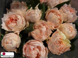 Роза Ля Шанс Д Амур / Rose La Chance D’Amour / Сладкая встреча ( Японская ) ОСЕНЬ 2026